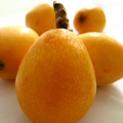 shufeng loquat