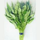 Organic Leaf Water Spinach (Helekang Limited Supply)