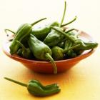 Organic Green Pepper (Helekang Exclusive)