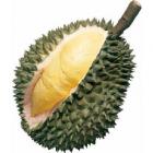 Thai Durian(1pcs)