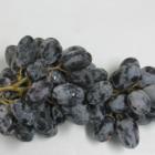 Black Grape