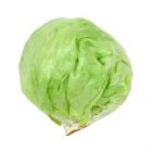 有机生菜（球生菜）