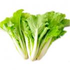 有机杭白菜 (简装)