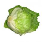 有机球生菜 (简装)