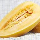 天山蜜王哈密瓜
