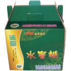 南汇有机特级水蜜桃(整箱)【独家】