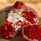 Sichuan Pomegrantie(4pcs)