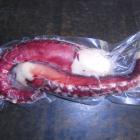 Octopus Legs (2 Legs)