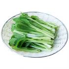 有机青菜（鸡毛菜，和乐康专供）