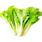 有机杭白菜（和乐康专供）