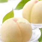 南汇水蜜桃（整箱）