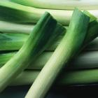 有机大葱（和乐康专供）