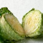 Helekang Organic Cabbage