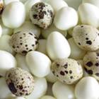 新鲜鹌鹑蛋（24枚）