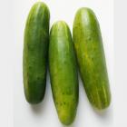 【独家】有机本地黄瓜（和乐康宁国高山基地直供）