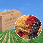 Organic Assorted Grain Package