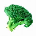 【独家】有机西兰花（和乐康宁国高山基地直供）