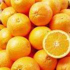 Organic Grown Navel Orange (10pcs)