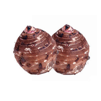 eco jumbo taro