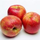 Gala Apples(5pcs)