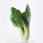 精品生态青菜