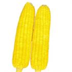 ECO Peeled Sweet Corn