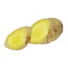 精品生态生姜（250克）