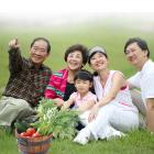 圆满五人套特惠包年服务（不支持余额支付）