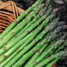 有机芦笋