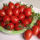 精品生态红小番茄