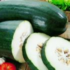 精品生态冬瓜（切片）