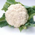 ECO Cauliflower