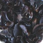 精品生态鲜水发黑木耳