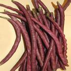 精品生态紫豇豆