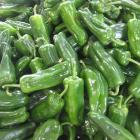 有机青椒（青泡椒）
