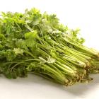 有机本地芹菜（和乐康专供）
