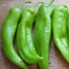 精品生态长青椒