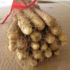 精品生态铁棍山药