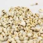 有机薏仁米（和乐康专供）