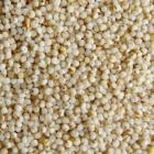 有机白小米（和乐康专供）