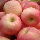 Xinjiang Aksu Apples(5pcs, organic conversion, farm direct supply, No GMO)