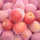 新疆阿克苏富士苹果（整箱4.5kg，有机转换，基地直供，非转基因）