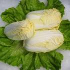 精品生态娃娃菜