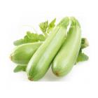 ECO Green Zucchini