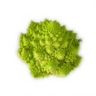 有机宝塔花菜 （和乐康专供）