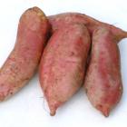 精品生态番薯（红薯，地瓜）