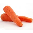 有机胡萝卜（基地新鲜直供）