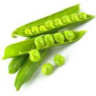 有机甜豌豆（基地新鲜直供）