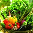 精品生态蔬菜家庭特惠装套餐