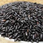 Organic Black Rice (New Batch)